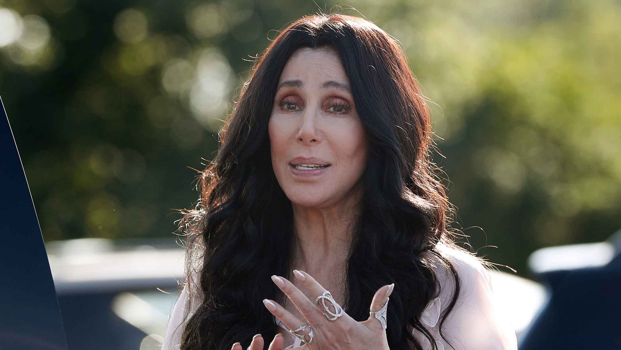 cher | LeftardList.com
