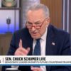 chuck schumer chuck schumer | LeftardList.com